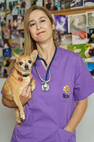cristina andres perez equipo bichos clínica veterinaria