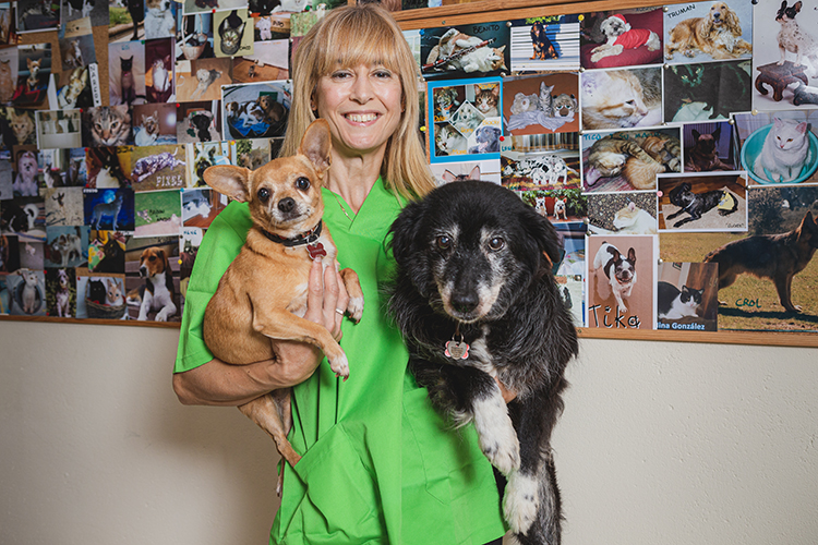 clientes mascotas perros bichos clínica veterinaria